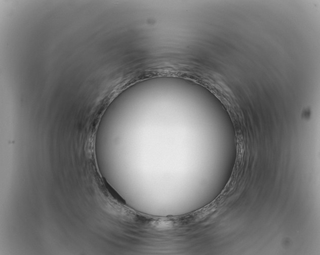 X0000091310419200708101113