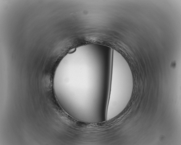 X0000091310420200708101113