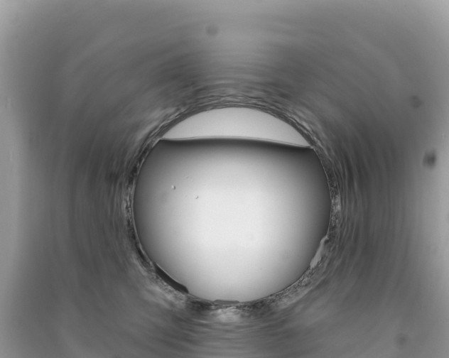 X0000091310423200708101113