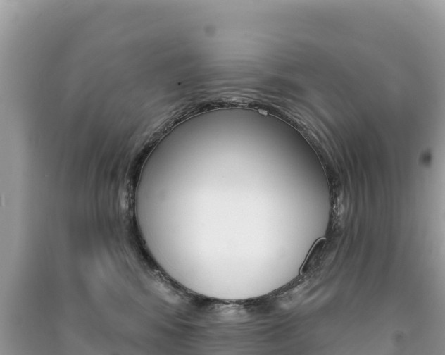 X0000091310424200708101113