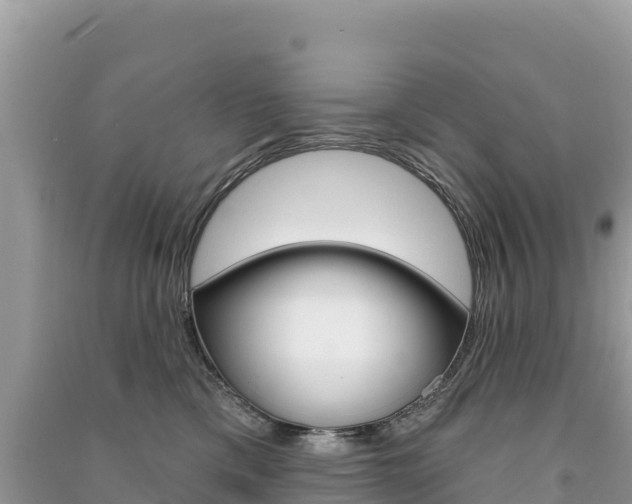 X0000091310425200708101113