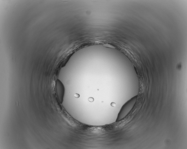 X0000091310427200708101113