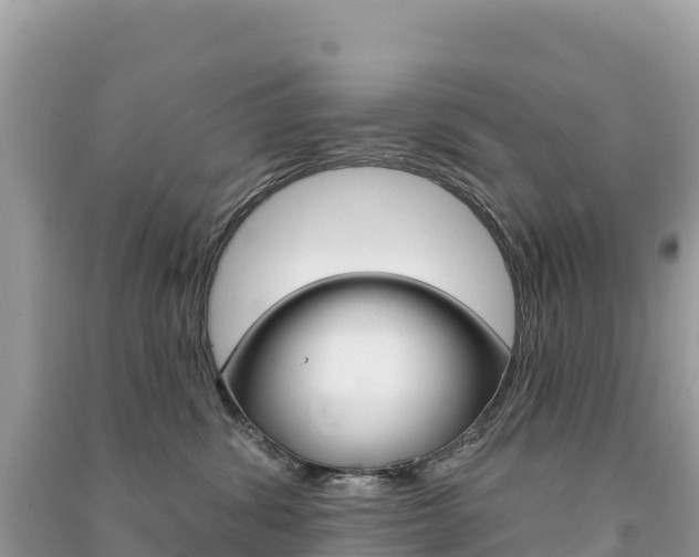 X0000091310428200708101113