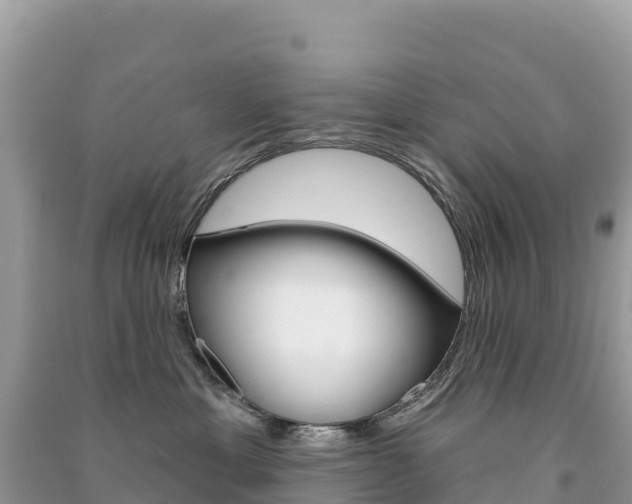 X0000091310429200708101113
