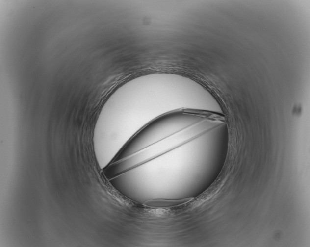 X0000091310432200708101112