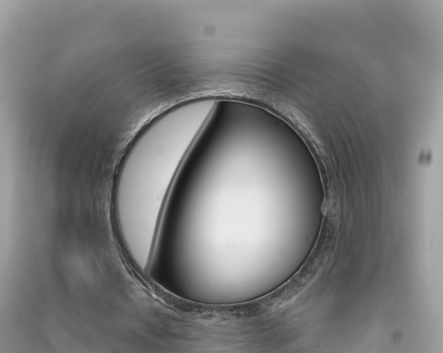 X0000091310434200708101112