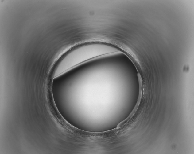 X0000091310436200708101112