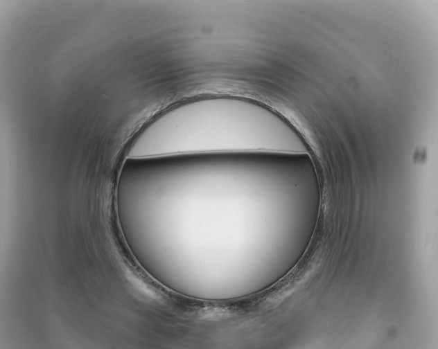 X0000091310445200708101112
