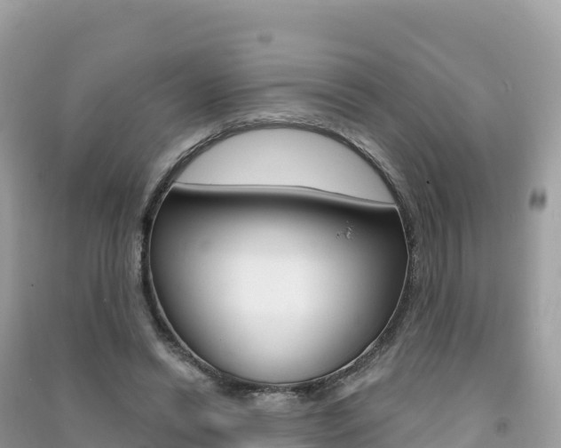 X0000091310446200708101112