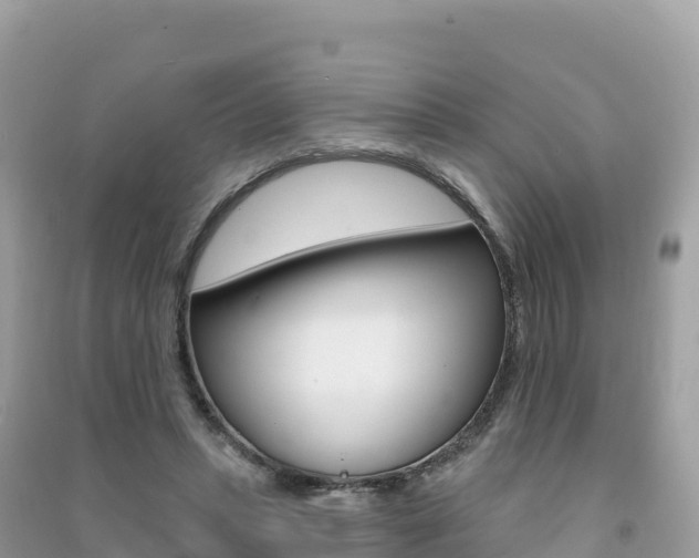 X0000091310447200708101112