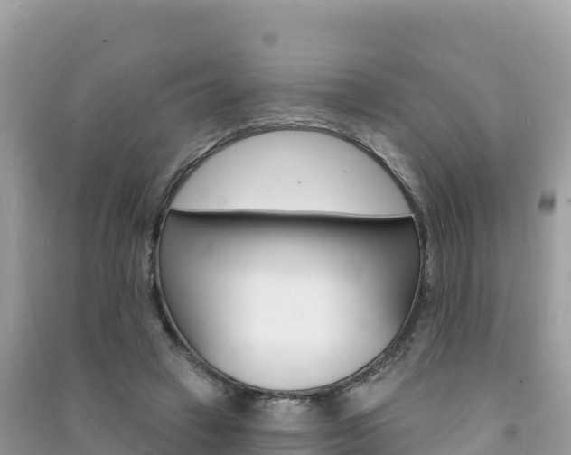 X0000091310449200708101112