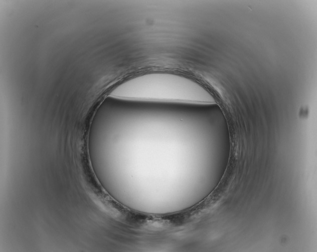 X0000091310455200708101112