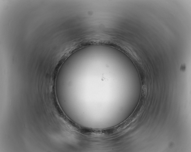 X0000091310458200708101112
