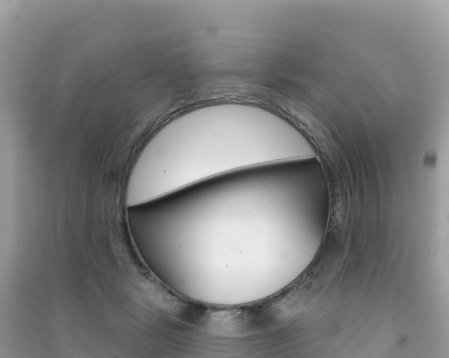 X0000091310461200708101112