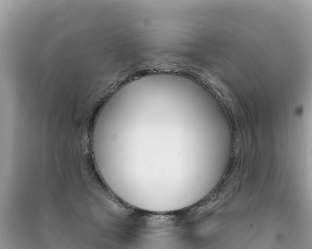 X0000091310465200708101112