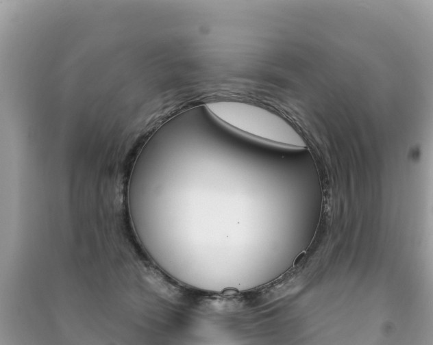 X0000091310466200708101112