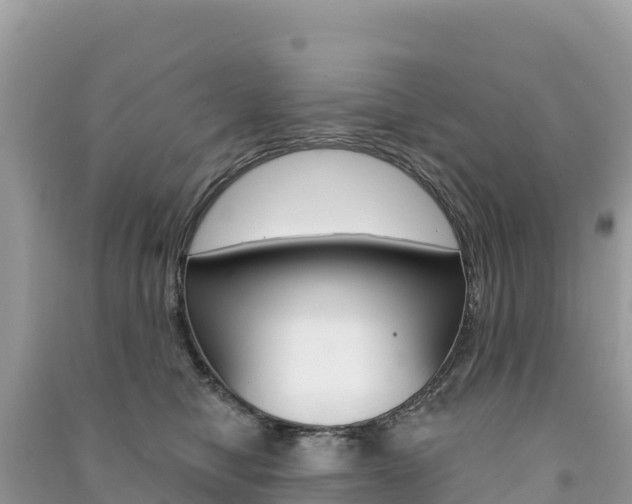 X0000091310470200708101112