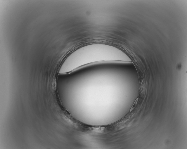 X0000091310474200708101112