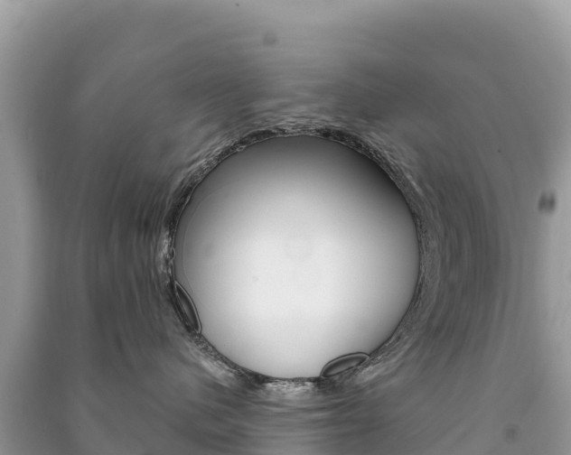 X0000091310480200708101112