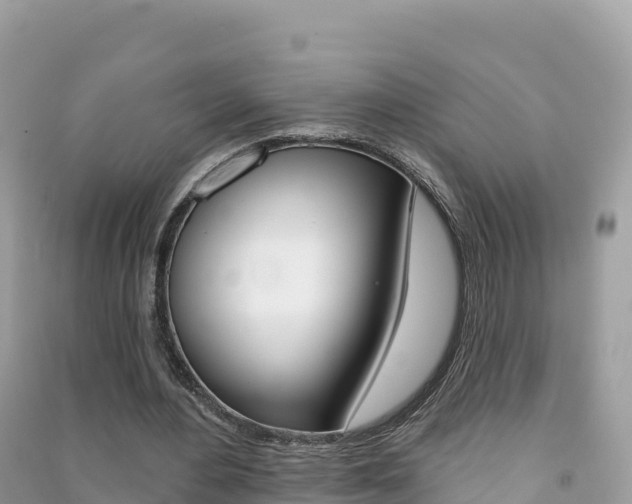 X0000091310484200708101112