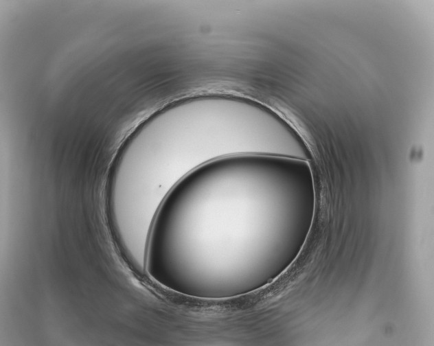 X0000091310485200708101112