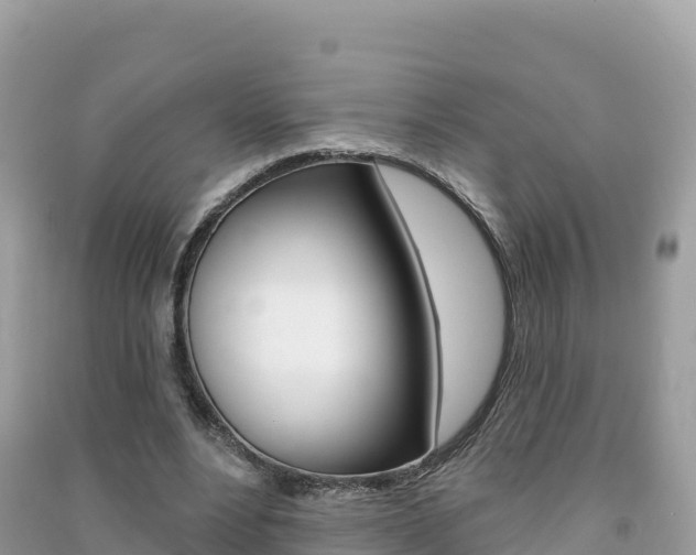 X0000091310488200708101112