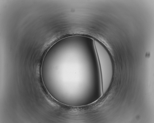 X0000091310489200708101112