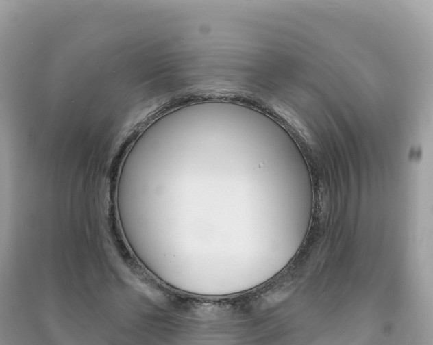 X0000091310494200708101112