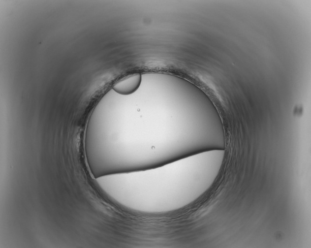 X0000091310495200708101112