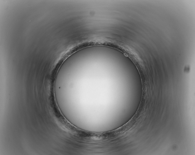 X0000091310496200708101111