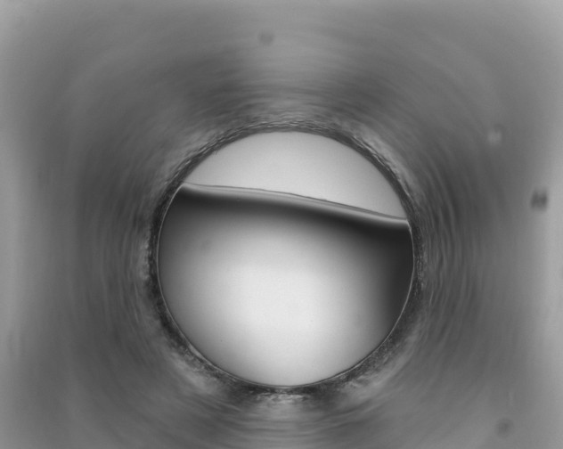 X0000091310497200708101111