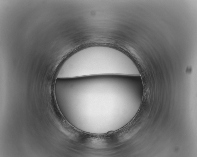 X0000091310500200708101111