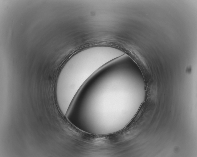 X0000091310505200708101111