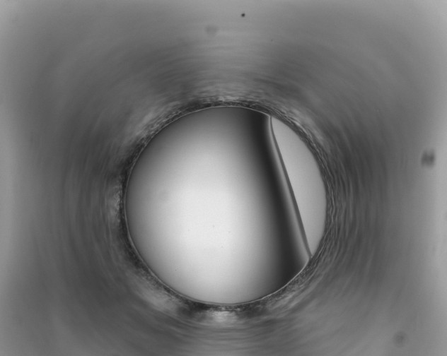 X0000091310509200708101111