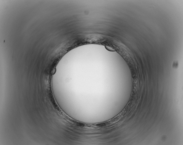X0000091310510200708101111