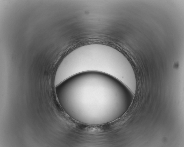 X0000091310512200708101111