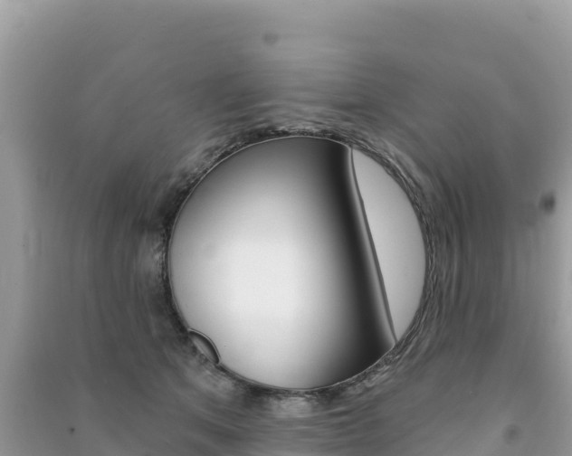 X0000091310513200708101111