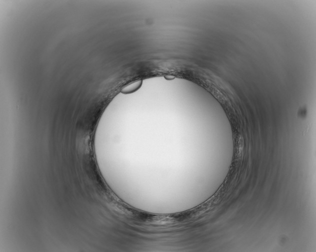 X0000091310514200708101111