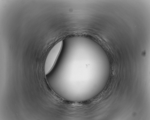 X0000091310515200708101111