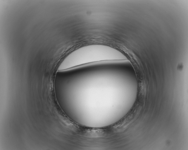 X0000091310517200708101111
