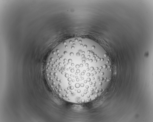 X0000091310519200708101111