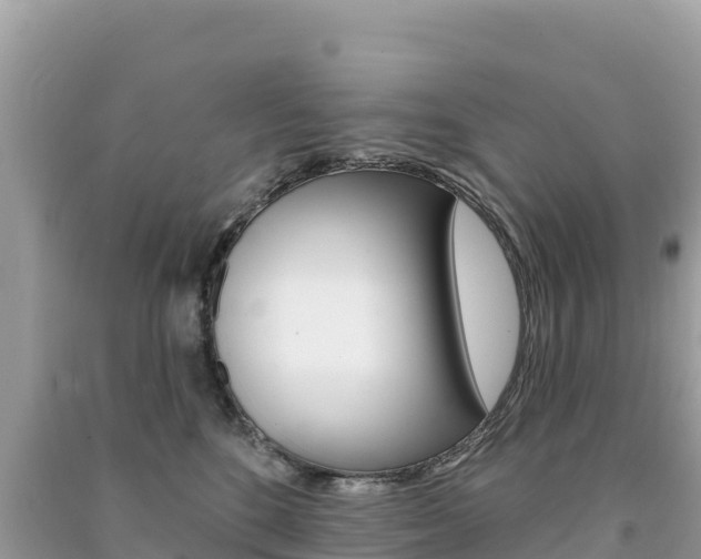 X0000091310520200708101111