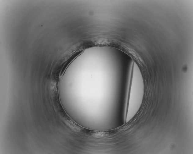 X0000091310521200708101111