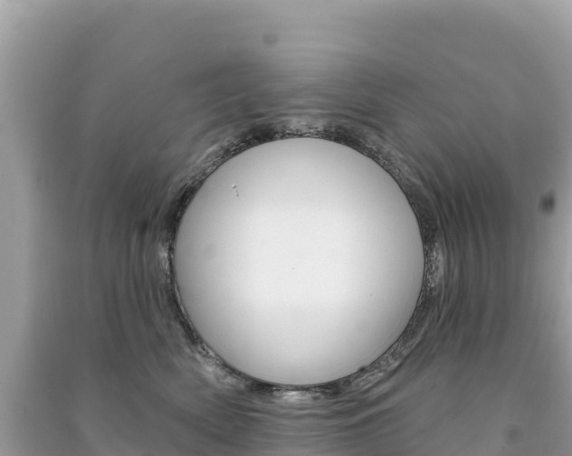 X0000091310522200708101111