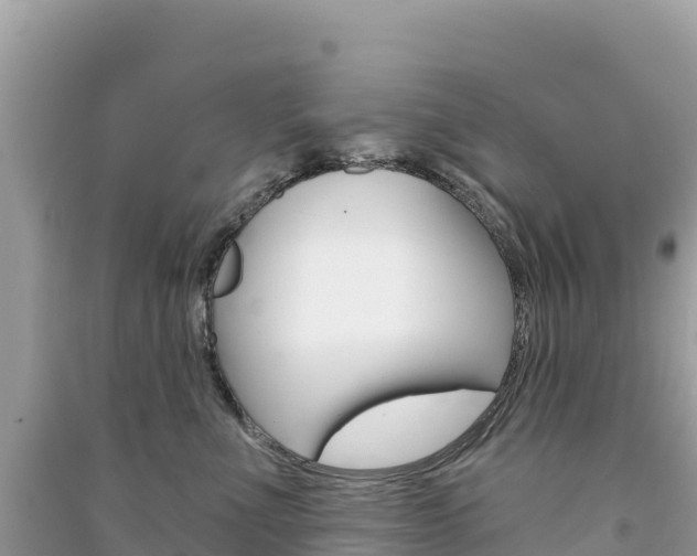 X0000091310523200708101111