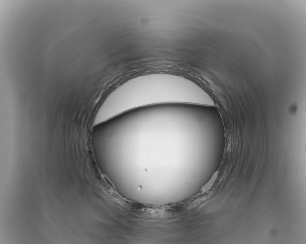 X0000091310524200708101111