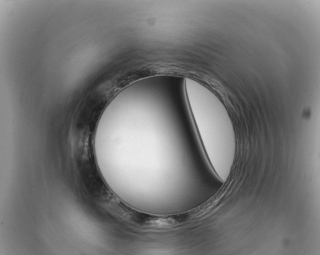 X0000091310525200708101111