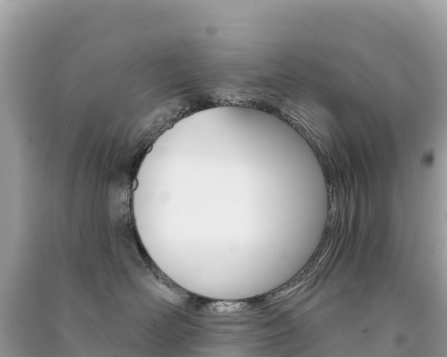 X0000091310526200708101111