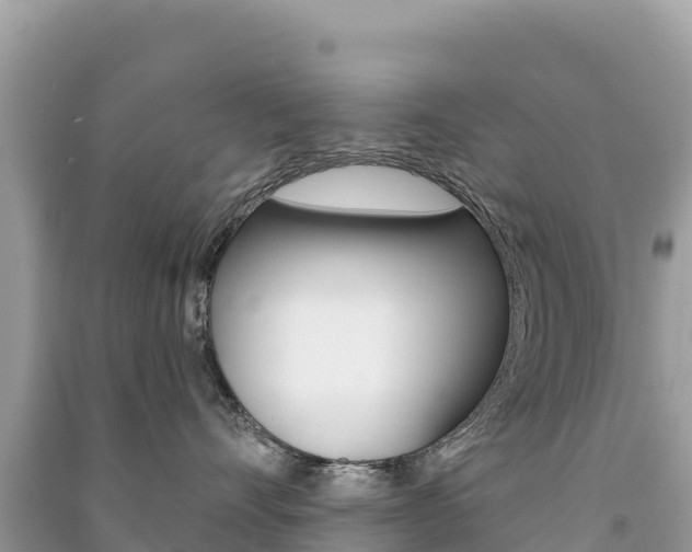 X0000091310528200708101111