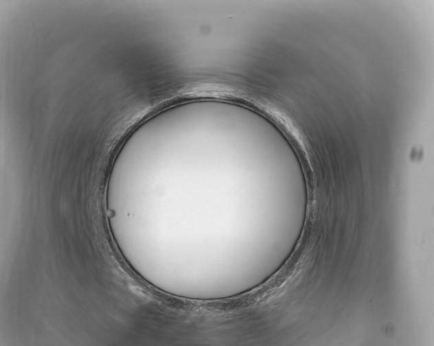 X0000091310529200708101110